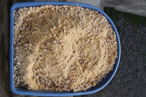 Litière pas cher, uncoinpourvous.com