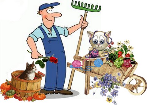 passe-temps, http://www.uncoinpourvous.com