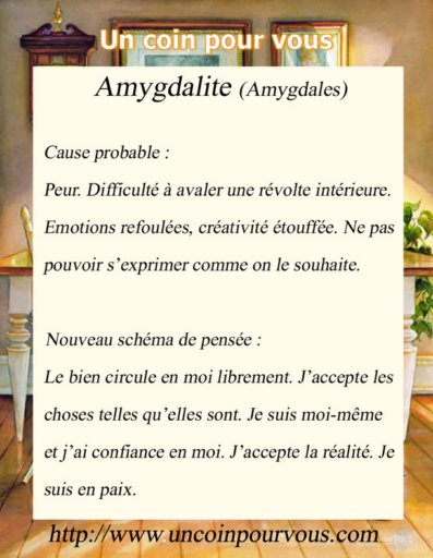 Mtaphysique, Amygdalite, http://www.uncoinpourvous.com