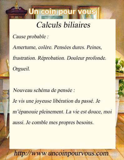Mtaphysique, Calculs biliaires, http://www.uncoinpourvous.com